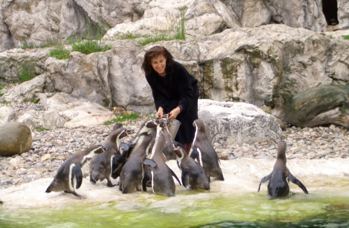 Patenschaft für Humboldtpinguin im Tiergarten Schönbrunn. Ursula Demarmels mit den Pinguinen (c) Univ.-Prof. Dr. Gerhard W. Hacker 