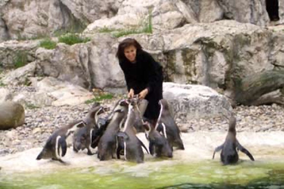 Patenschaft für Humboldtpinguin im Tiergarten Schönbrunn. Ursula Demarmels mit den Pinguinen (c) Univ.-Prof. Dr. Gerhard W. Hacker 